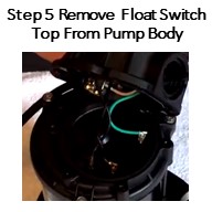Wayne Sump Pump Switch Replacement Step 5  Remove the float switch top from the pump body